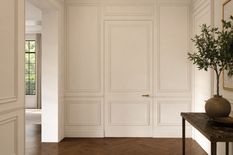 Flush Door